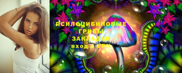 spice Балабаново