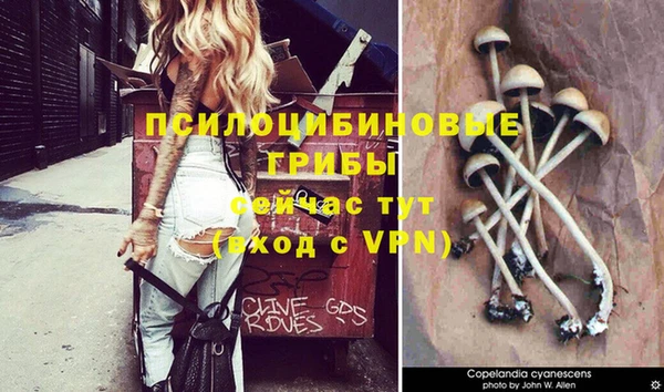 гидропоника Белоозёрский