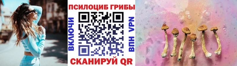 mega как войти  Карталы  Галлюциногенные грибы Cubensis 